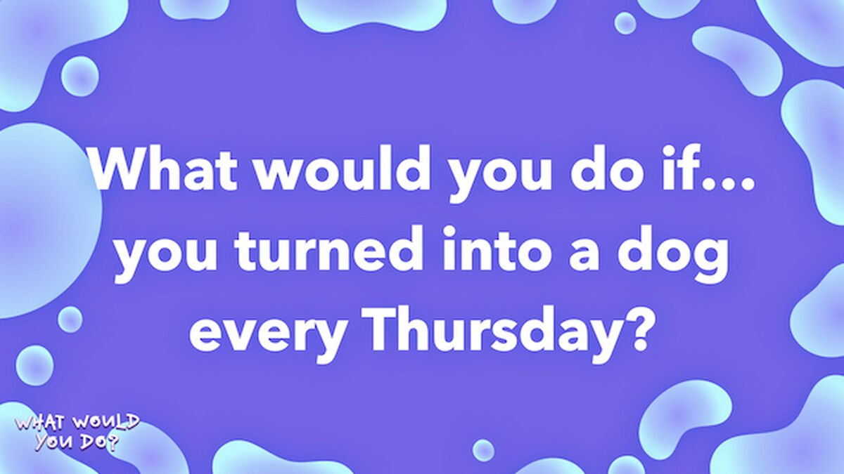 What Would You Do? image number null